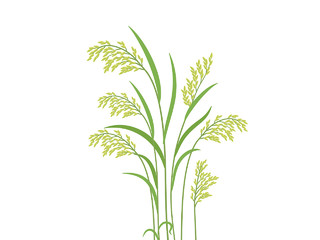 水稻分成矢量图水稻元素丰收PNG素材